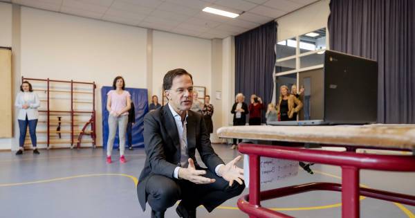 Radicale boeren woedend op Rutte en Schouten: ‘Het is oorlog’