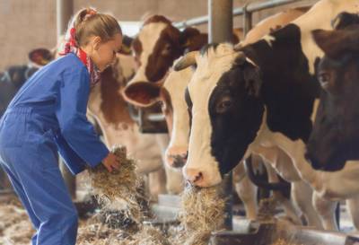 Landrijk de Reesprong in Buurse opnieuw in de prijzen bij Zoover-awards