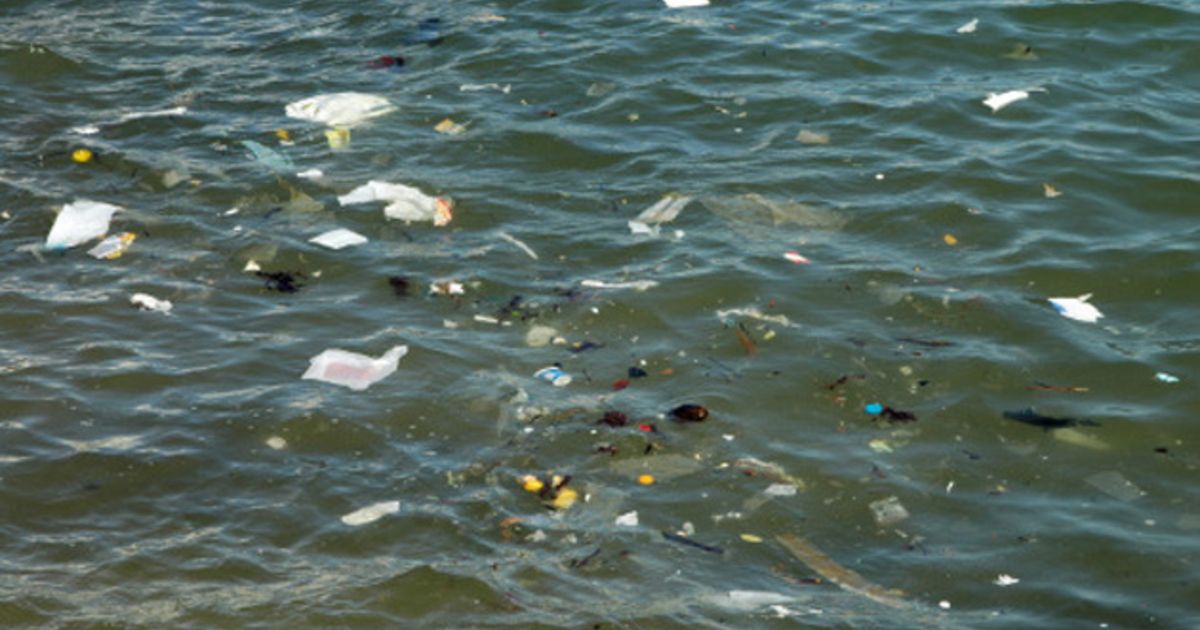 Er zit meer plastic afval in zee dan gedacht Milieu Wetenschap & Planeet HLN
