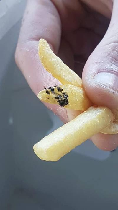 Amerikaanse vrouw vindt 15 dode vliegjes in frietjes van McDonald's