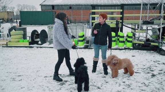 Aflevering 4