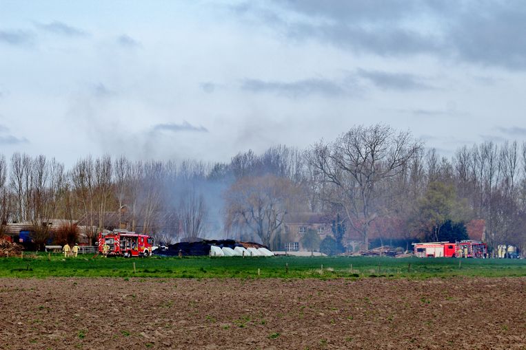 In de Haelinckstraat in Zevekote woedde een zware stalbrand.