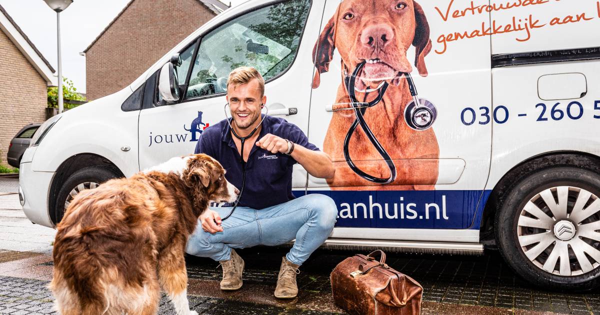 Deze Dierenarts Rijdt De Regio Af Voor Huisbezoeken Ik Geef Nooit Zomaar Een Spuitje Veenendaal Gelderlander Nl