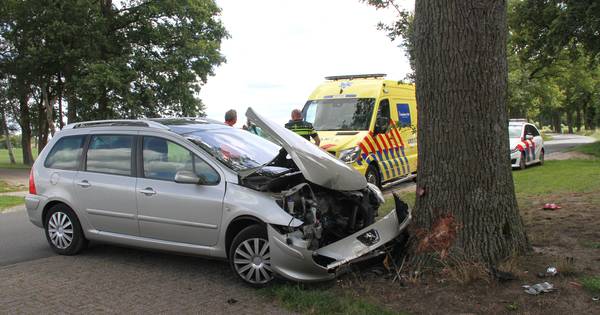 Gezin gewond na botsing tegen boom bij Hellendoorn, politie zoekt bestuurder van shovel - Tubantia