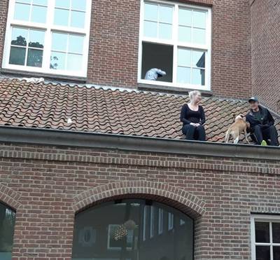 Redders zitten zelf vast op dak na helpen hond in Tiel