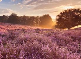 Een bergwandeling maken in Nederland? Híer moet je dan zijn