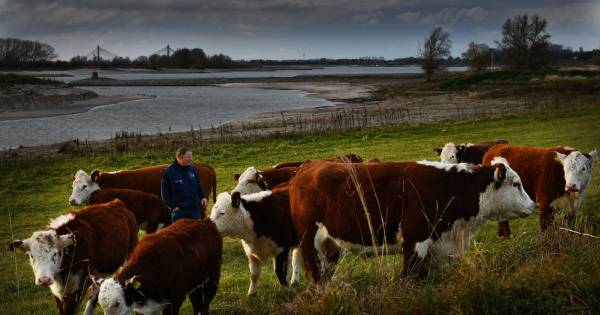 Thuis in de Heesseltsche Uiterwaarden