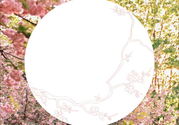 De beste tips voor een tuin vol lentebloesem