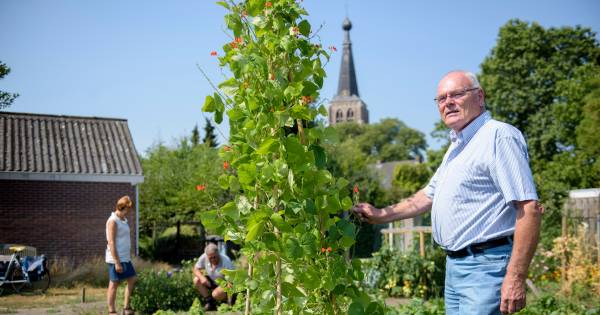 Zorgen in Leende bij goed draaiend Graaggedaan