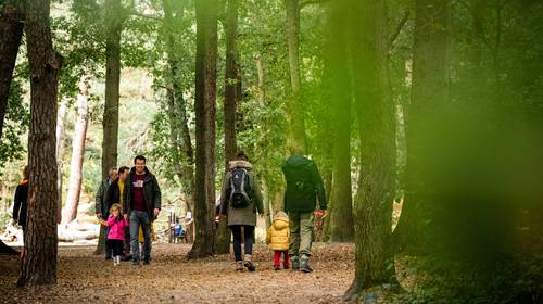 Mag ik tijdens de herfstvakantie een vakantiehuis met vrienden huren? Uw vragen beantwoord