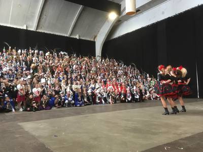 Bomvol Gelderlander-Prinsentreffen in de Vasim