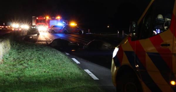 Twee paarden overleden bij heftig ongeval in Weerselo.
