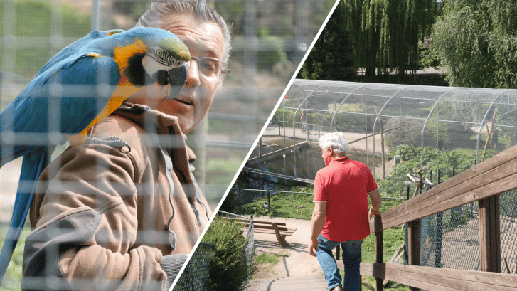 Peperdure ara gestolen uit Kleindierwandelpark in Hedel