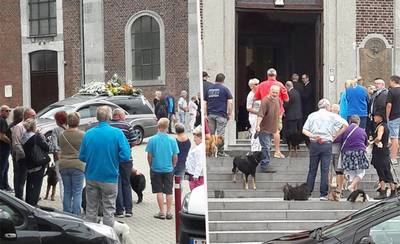 Bijzonder afscheid overleden dierenarts: 150 honden en hun baasjes vormen erehaag