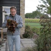 Gooi herfstbladeren uit je tuin niet zomaar weg! Boer Tom legt uit waarom