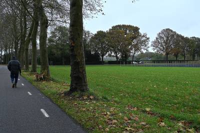 Boomkweker houdt bouw zeven nieuwe woningen in Gassel tegen