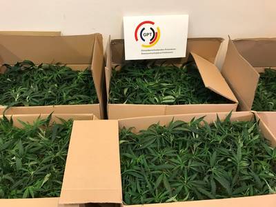 Iraniër twee keer in vijf dagen gepakt met achterbak vol Nederlandse wiet