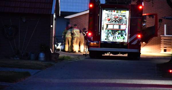 Brandweer redt ezel uit put in Daarle