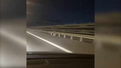 Motorrijder Rijdt Bijna Zestig Kilometer Per Uur Te Snel Bornem In De Buurt Hln