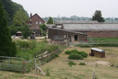 Rechter kan streep zetten door dierenverhuur Bert's Animal Verhuur