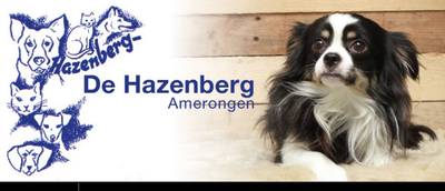 Oproep asiel: Kijk uit naar gedumpte hond in bos Amerongse Berg