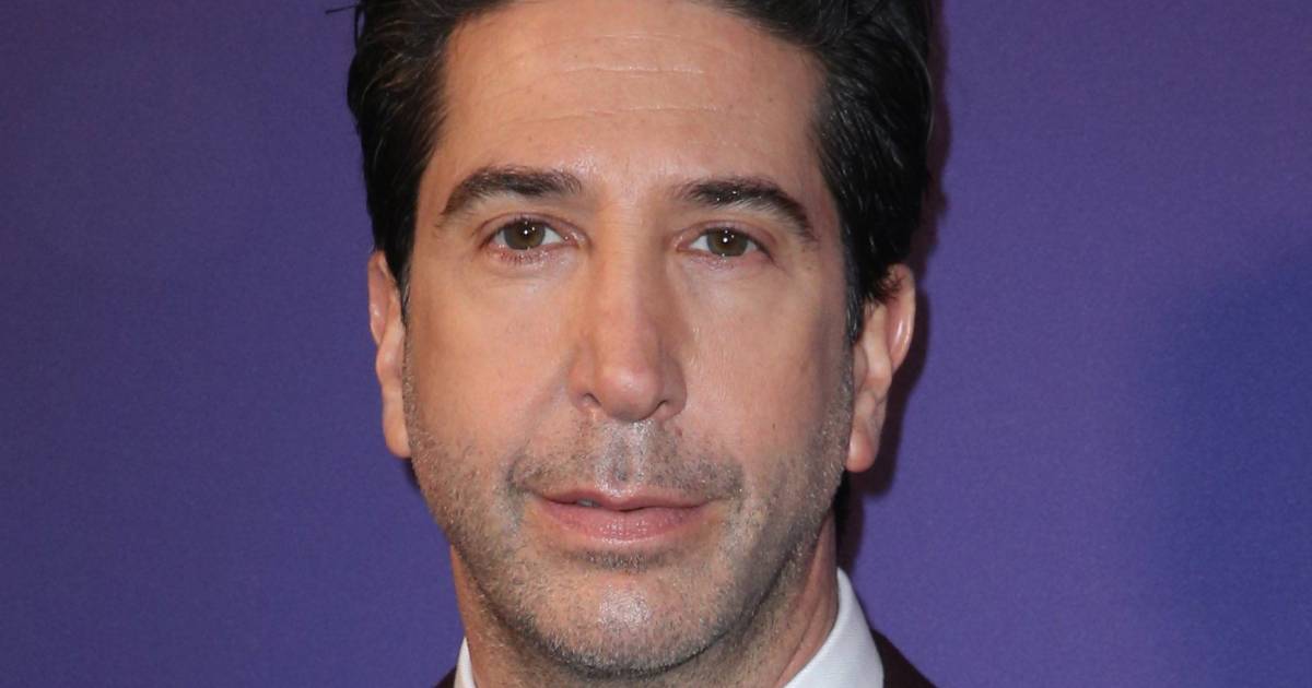 'Friends'-ster David Schwimmer 3 jaar na scheiding opnieuw ...