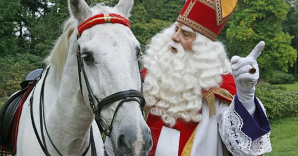 Paard Van Sinterklaas Na 22 Jaar Met Pensioen Binnenland Ad Nl