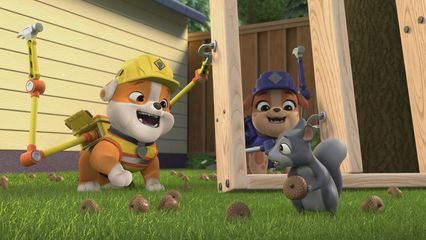 14. De crew bouwt een plonspark & De crew bouwt een speelkamer