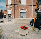 GAS-boetes voor onkruid in Mesen: ‘Wanneer is onkruid nu eigenlijk onkruid?’