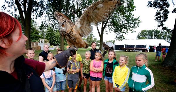 Timmerdorp Genderen is meer dan bouwen alleen | Waalwijk, Heusden eo - BD.nl