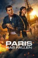 boxcover van Paris Has Fallen