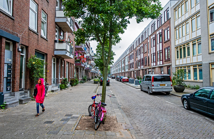 Plannen rotterdam zuid