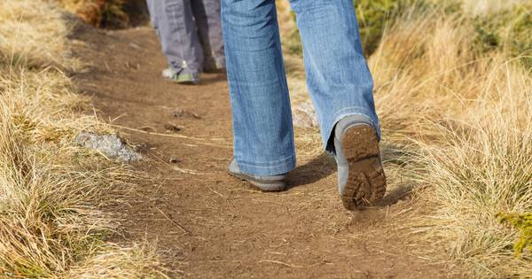 Wandeling door landgoed Bleijendijk in Vught