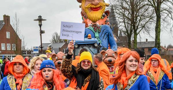 Prinsenwagen tegen boom: prins en gevolg lopen vooraan in stoet - BN DeStem