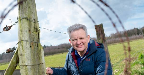 Veluwse wolven nemen steeds vaker schapen te grazen. Deze bioloog weet hoe we dat kunnen voorkomen -