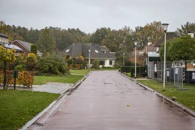 Averhofstraat in Denekamp is groen en wil groen blijven