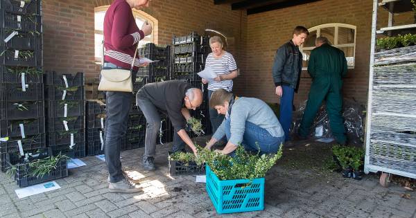 ‘Vergeten fruitsoorten’ sieren tuinen in Gilze en Rijen