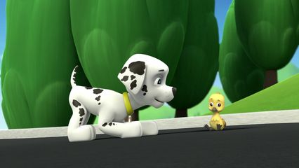 5. Puppies en Ganzen & Pup Pup en de Lucht in