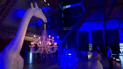 13. Le carnaval des animaux : dans les coulisses d'un spectacle hors norme