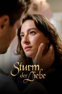 boxcover van Sturm der Liebe