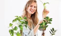 Starten met stekken? Met deze tips van Mama Botanica is het een makkie