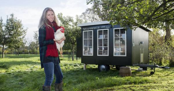 Haaksbergse Maakt Kippen Fokken Weer Populair Haaksbergen