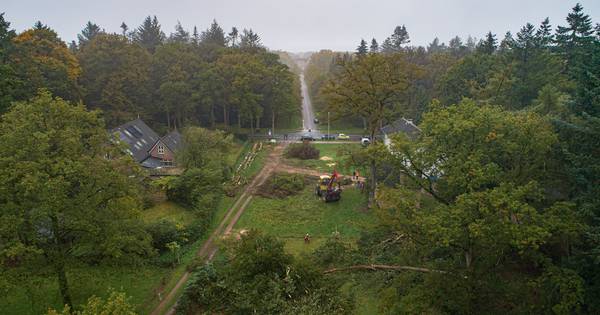Na kap 18 bomen weer 2 kilometer kijken van kasteel Eerde bij Den Ham tot Ommer 'woeste gronden' - T