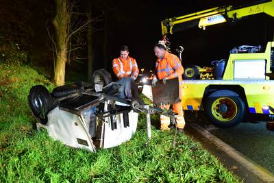 Twee Deense doggen overleden bij aanrijding op Zuilense Ring
