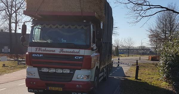 Soerendonk mist fietspad in plan Damenweg | Cranendonck, Heeze-Leende - Eindhovens Dagblad