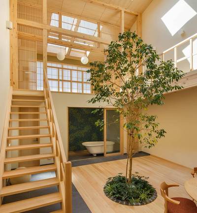 Geen tuin? Plant een boom in de woonkamervloer