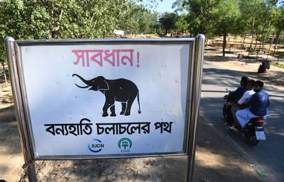 Olifanten vertrappen Rohingya-vluchtelingen