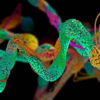 Pushmeet Kohli van Google DeepMind: ‘AI zal nog grote wetenschappelijke doorbraken forceren’