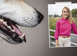 Dit moet je doen als je hond in aanraking komt met een agressieve hond