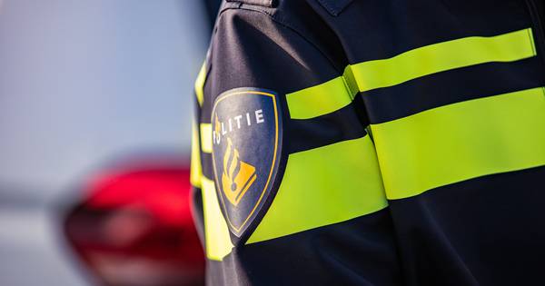 Levenloos lichaam gevonden in bosperceel in Diepenheim
